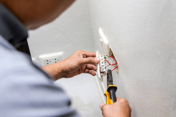 Best Generator Installation Services  in Plum Grove, TX